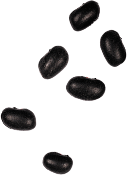 h1-beans-2.png