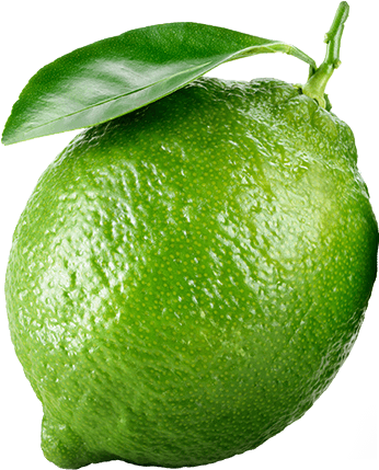 h1-lime-2.png