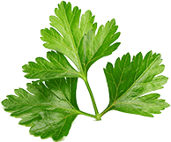 h1-parsley.png