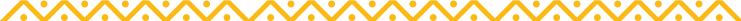 h1-yellow-border-bottom.png